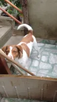 Labão e Mia