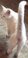 Anita