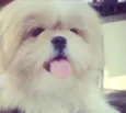 Mel