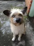 Neném
