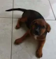 MELLI/PUKA