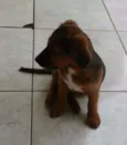 MELLI/PUKA