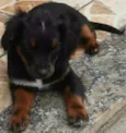 MELLI/PUKA