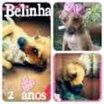 BELINHA