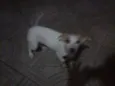 Marly