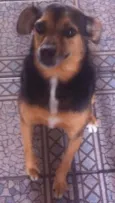 Não sei