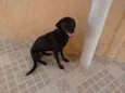 Dudu