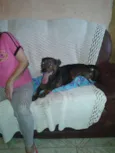 billy