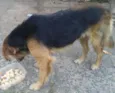 Mel