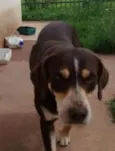 Marley
