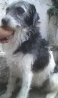 Kati