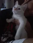 Peter