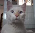 Peter