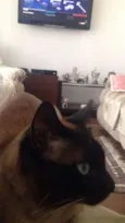 Félix