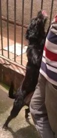 Ana