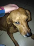 Não sei