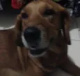 Não sei