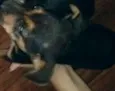 nao tem