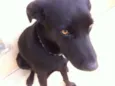 Thor e Estrela