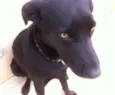 Thor e Estrela