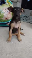 Valentina