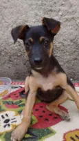 Valentina