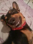 Coby