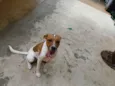 Bumer