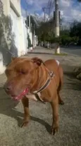 Turok