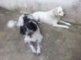 TETECO