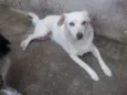 TETECO