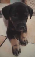 Nick