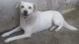 TETECO