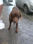 desconhecido