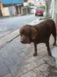 desconhecido