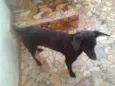 JULIETA