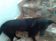 JULIETA