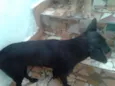 JULIETA
