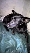 JULIETA