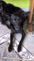 JULIETA