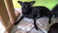 JULIETA