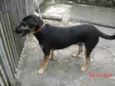 VINI