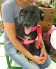 LOLA