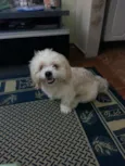 miguel