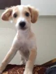 Loo