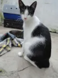 Princesa