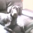 Fiona