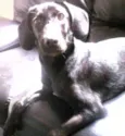 Fiona