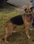 Nina