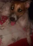 nina